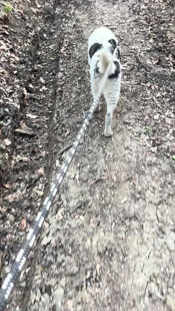 @Mirha👸🏼