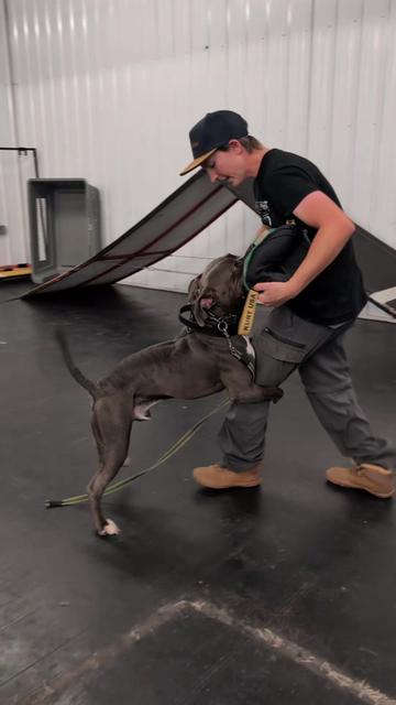 @Kavik.K9