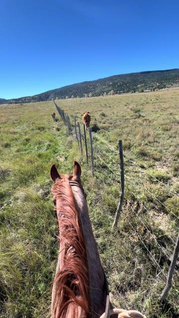 @cowgirlcommentary
