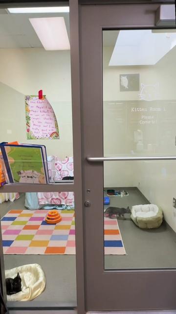 @Lynchburg Humane Society