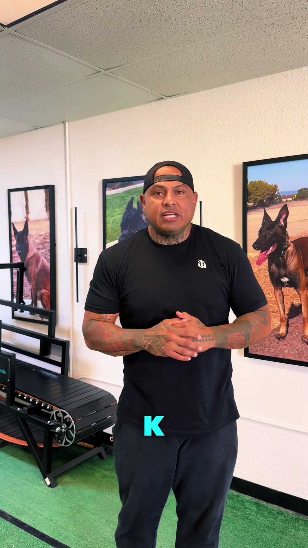 @Tactical K9s Dog Training