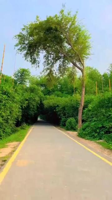 @Aamir khokhar