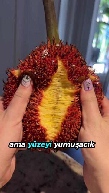 @beynegrafya
