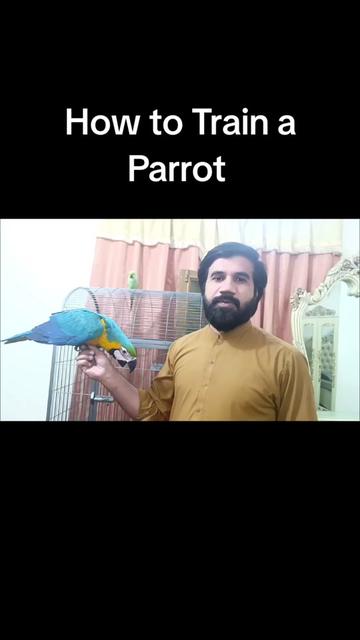 @Mehtab's Pet
