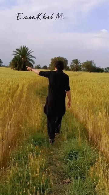 @SHAMSHER KHAN NIAZI | PAKISTAN
