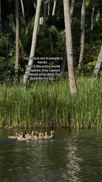 @Alzaff.ff