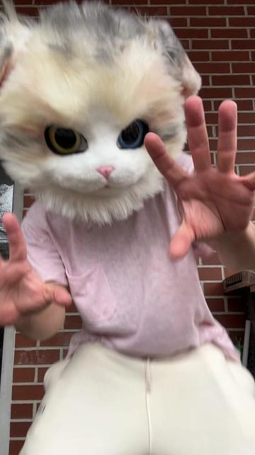 @The CaT 😼