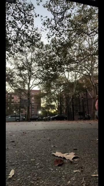 @Chinopoblano23🇲🇽