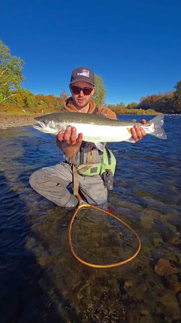 @the360angler