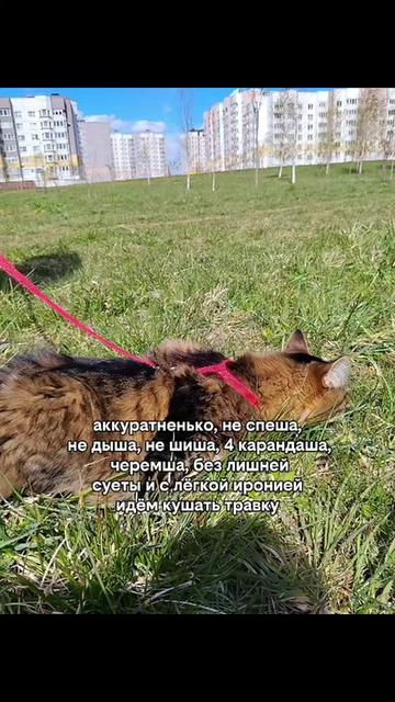 @Марсик😺💖