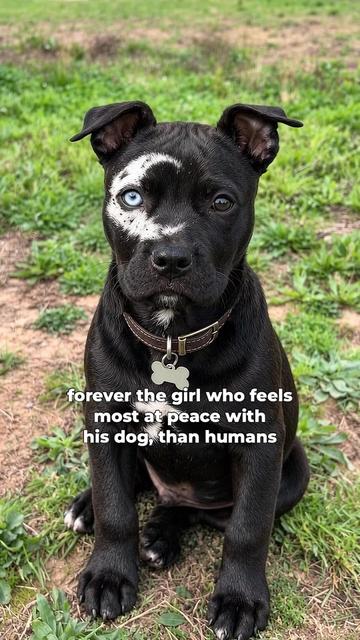 @moonfetches