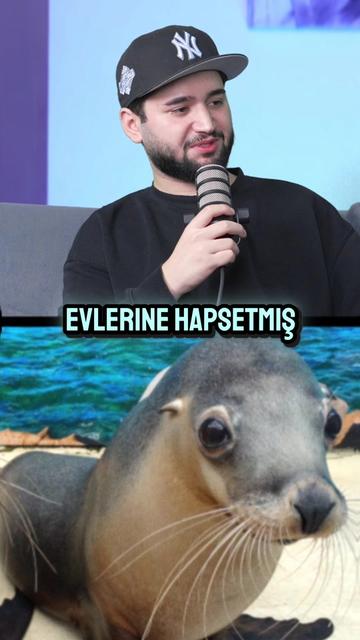 @KAYITpodcast