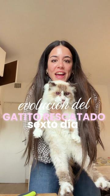 @Ainoa García