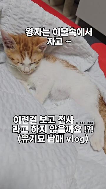 @๐ฉ์ด์์ฌ×234๐ฉ