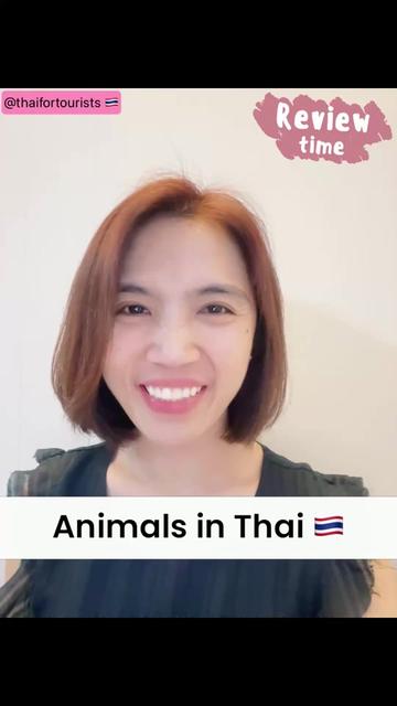 @ThaiForTourists