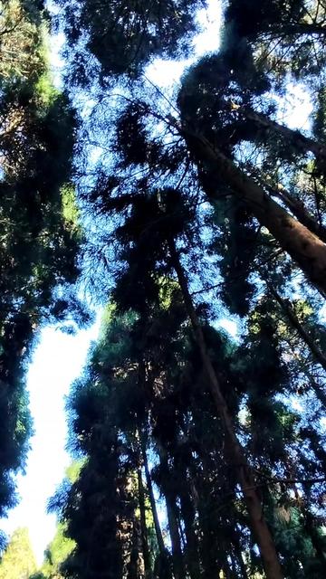 @कृति 🦋