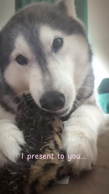 @Freya & Kuma