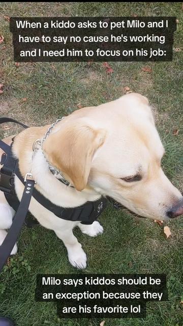 @Service Pup Milo