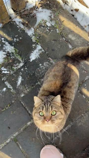 @Cute_kitten