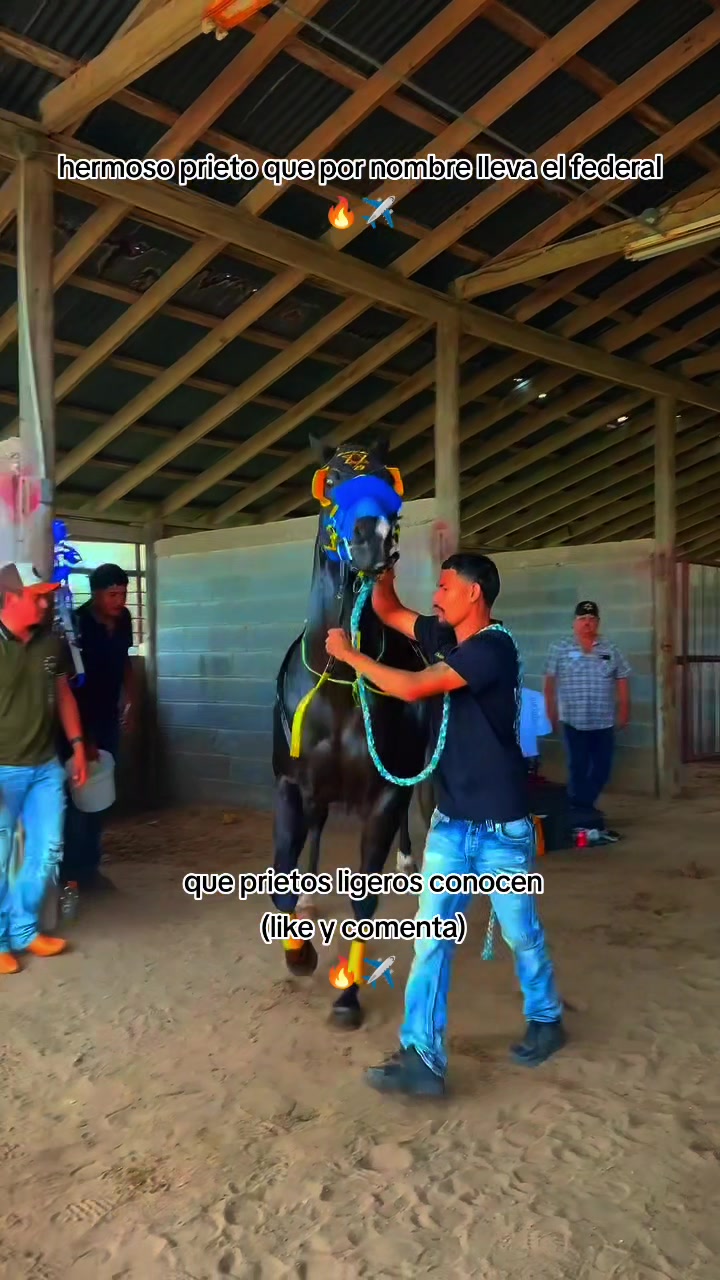 @carriles altos de jalisco🐎