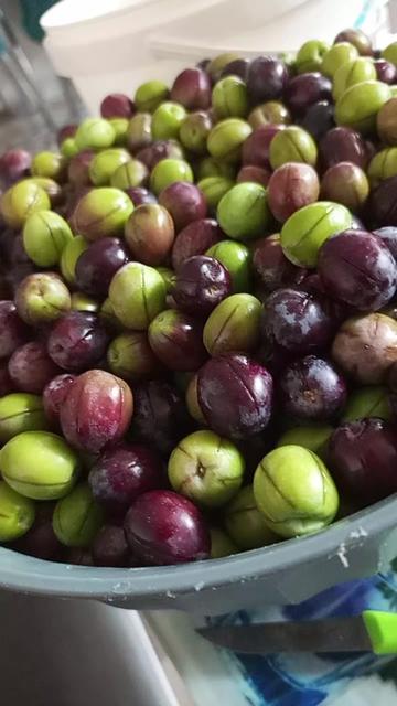 @hanım💐ağa🌹46