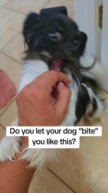 @TheLittleLunaBean
