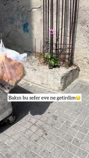 @yesillihanm
