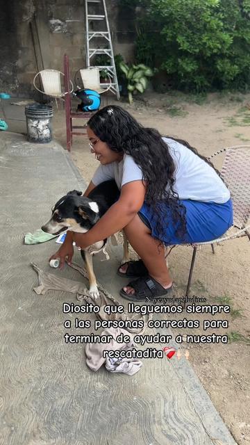 @NayeAyudaPeluditos