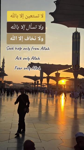 @من المدينة 🇸🇦 Madinah