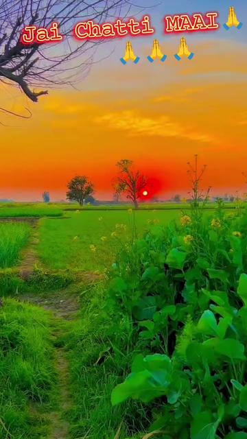 @💪  CHAMAR  JI  💪