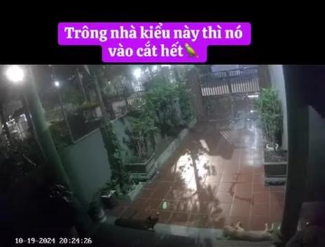 @Phạm Văn Thảo