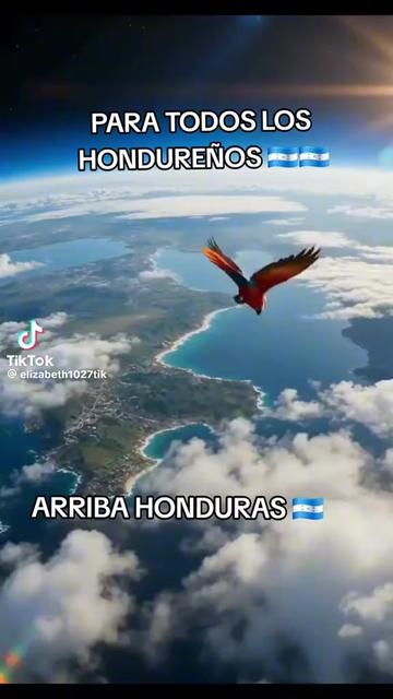 @tigre1romantico