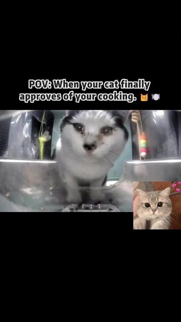 @purrrr