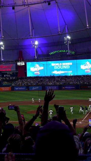 @TAMPA BAY RAYS