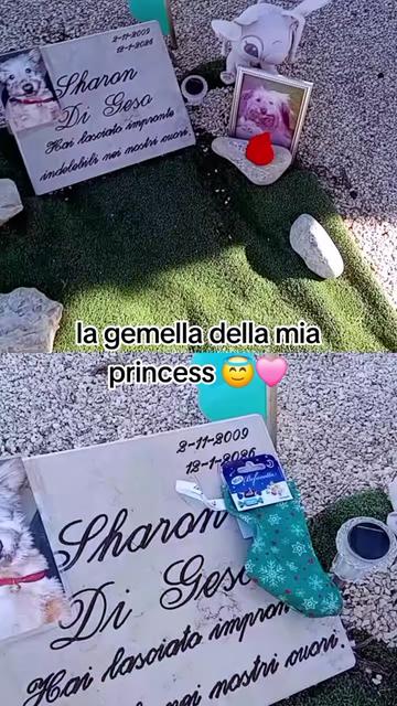 @panteranera832