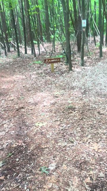 @๐๐ฎ๐ผ๐ผ๐ฒ๐๐ช๐ฎ