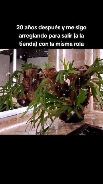 @PXNDX
