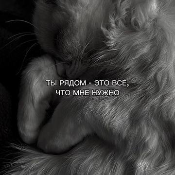 @ХХИКА