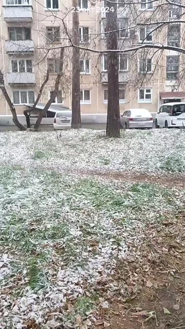 @зеленноглазая 🌹💚