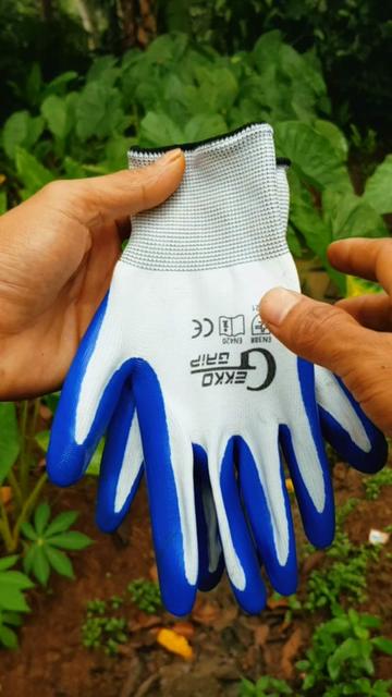 @ALFAQIH REVIEW89