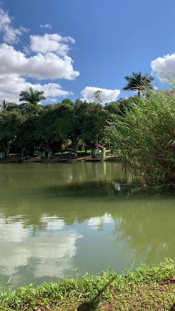 @Dimex Pescador