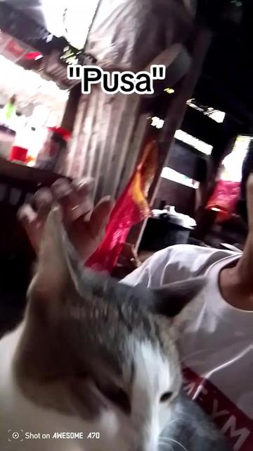@Evelyn Cornetes