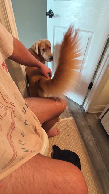 @Diarrhea Support Dog Training