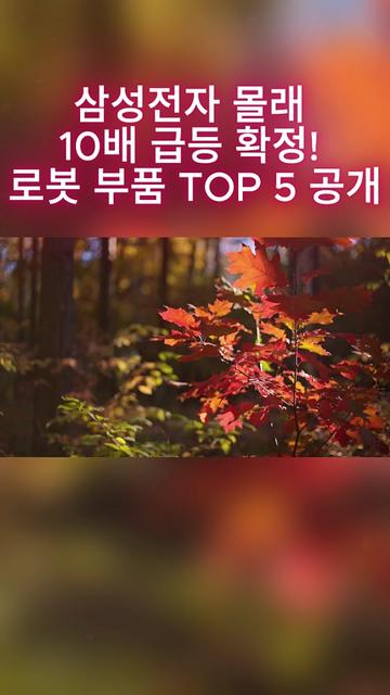 @주식의 정점