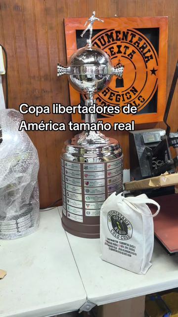 @indumentaria_colocolo_6