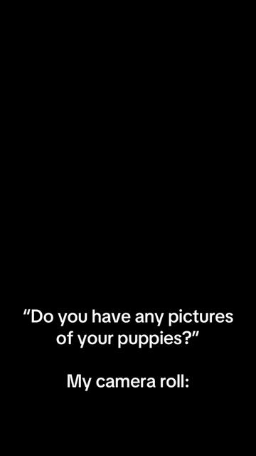 @Furry Tailed Friends NC