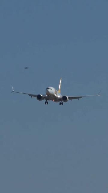 @Lisbon Spotting