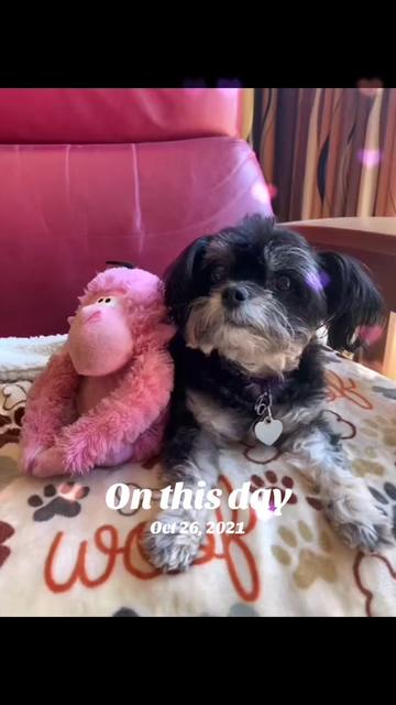 @Katrin - HappyPawsPantry