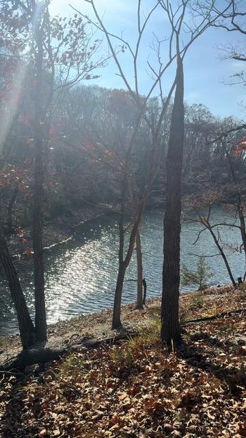 @Sarah Sells the Lake