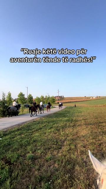 @BERTI RANCH 🐎